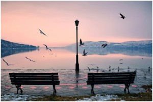 amazing-nature-beautiful-bench-lamp-winter-7a8220791b1c4d30c016934e4dbf7fe0_h.jpg